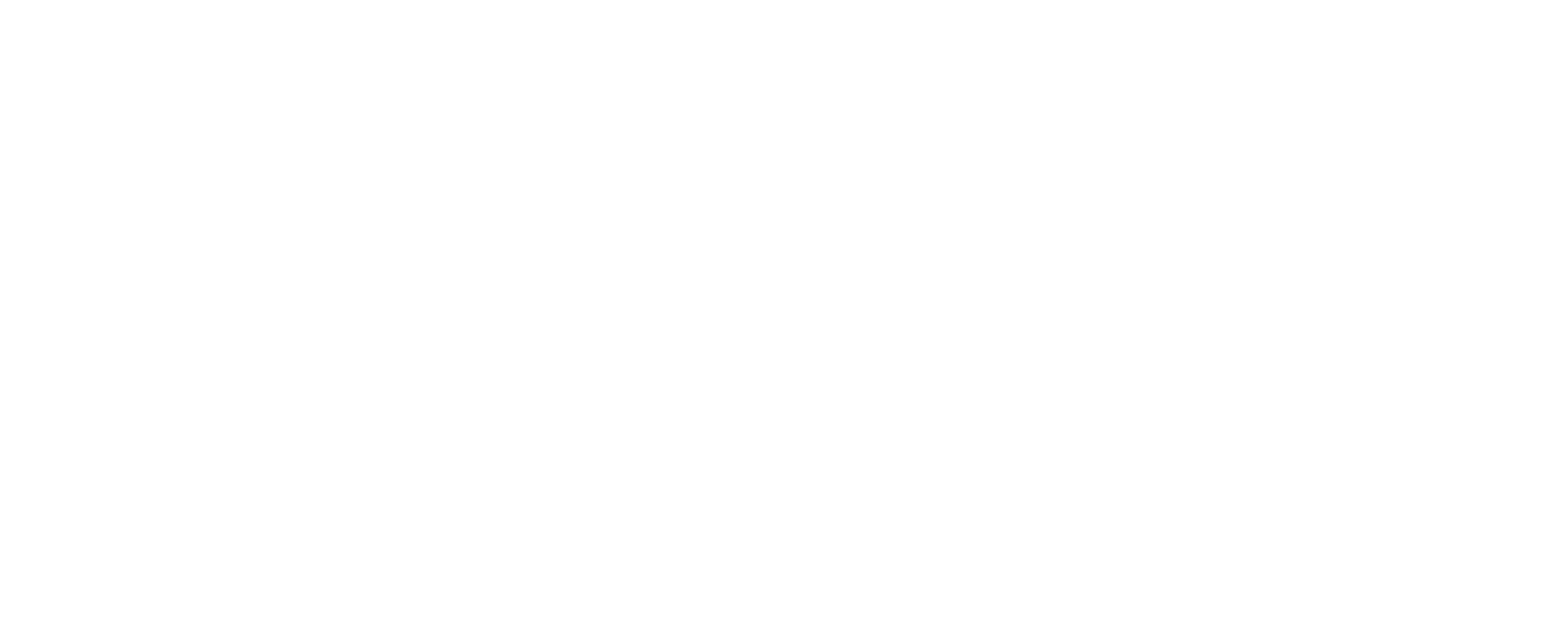 Logo Mage noir