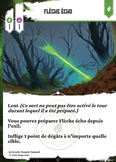 Flèche écho