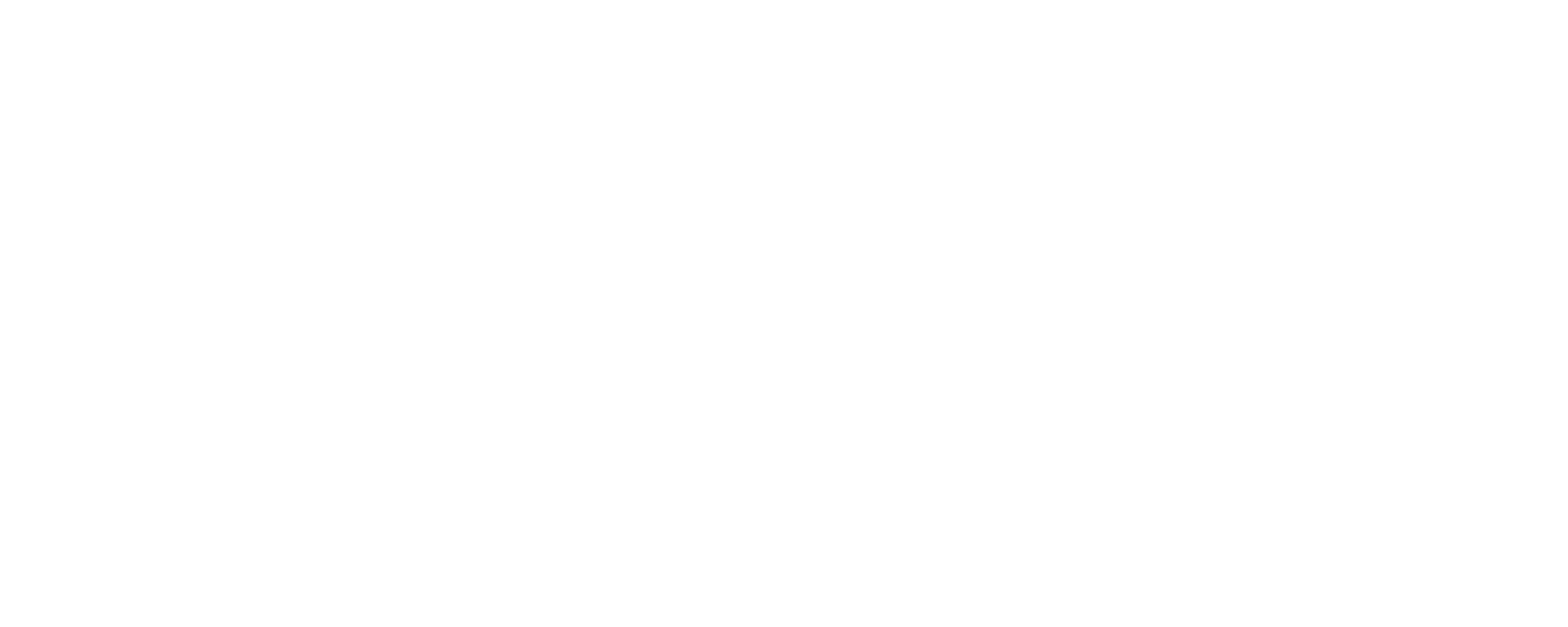 The Circle of the Mages Noirs
