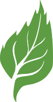 Vegetal icon